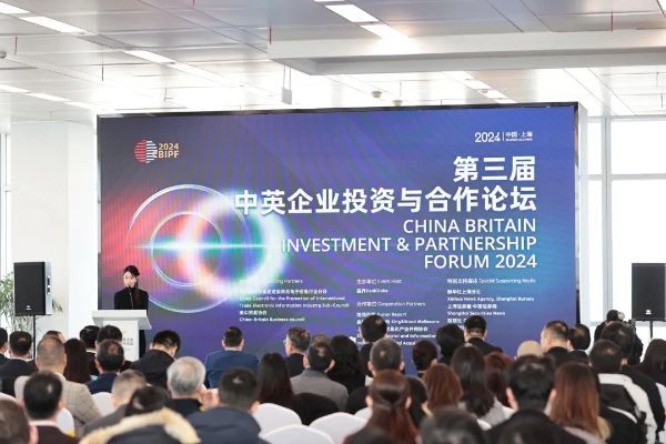 Chen Jing Attended the Third Sino-British Corporat...